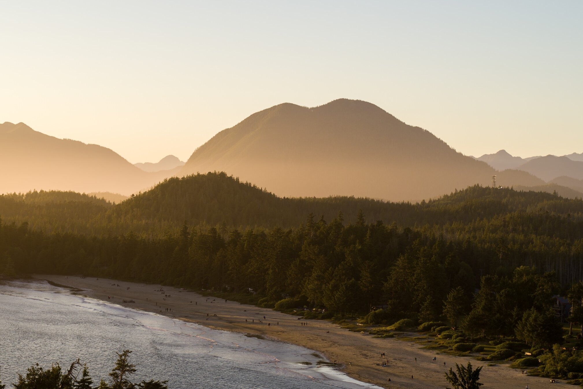 Golden hour aerial view of a sandy beach surrounded by lush pine trees and misty mountain silhouettes in Tofino, BC.